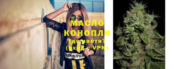 гидра Медногорск