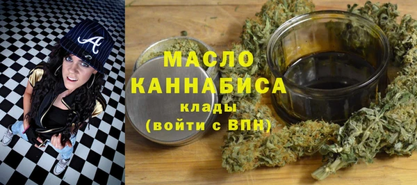гидра Медногорск