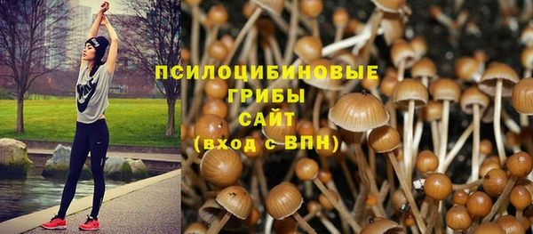 гидра Медногорск