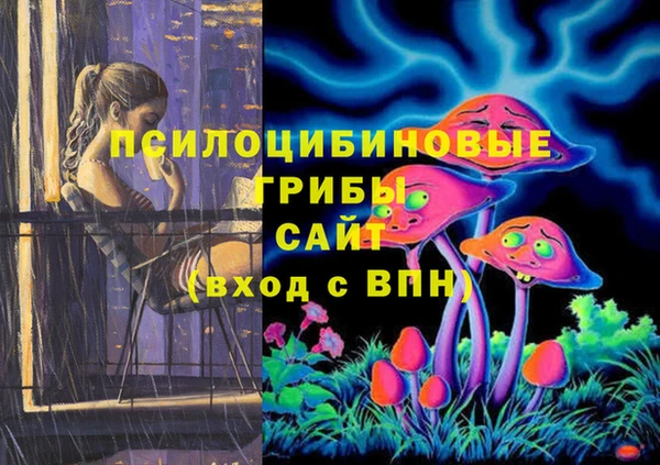 гидра Медногорск