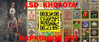 крисы Нальчик