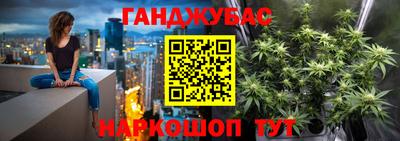 крисы Нальчик