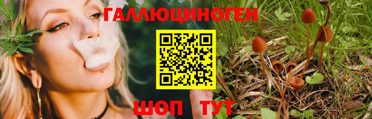 Псилоцибиновые грибы MAGIC MUSHROOMS  Вход с VPN  Воронеж  Псилоцибиновые грибы Magic Shrooms 